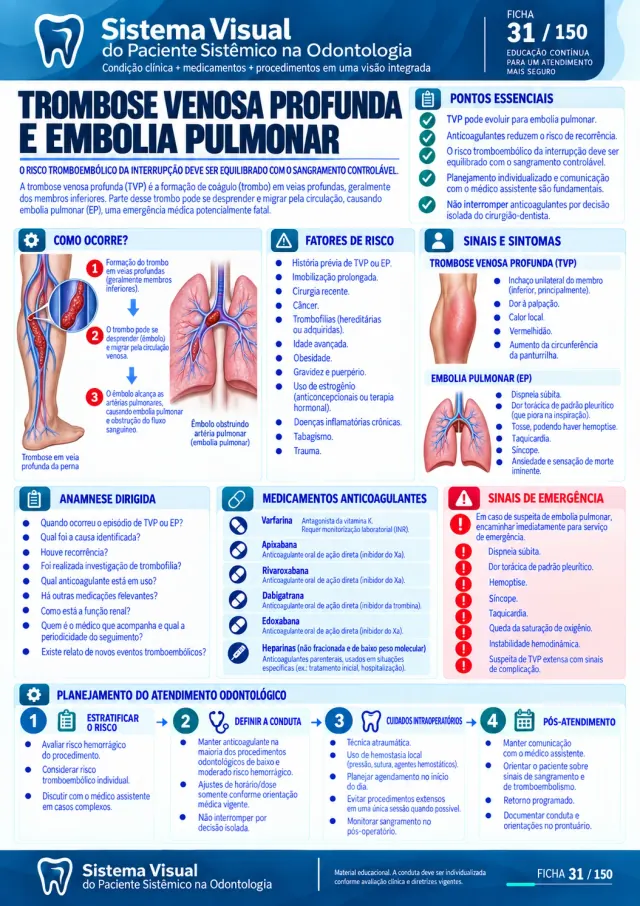 Ficha 10 do Sistema Visual