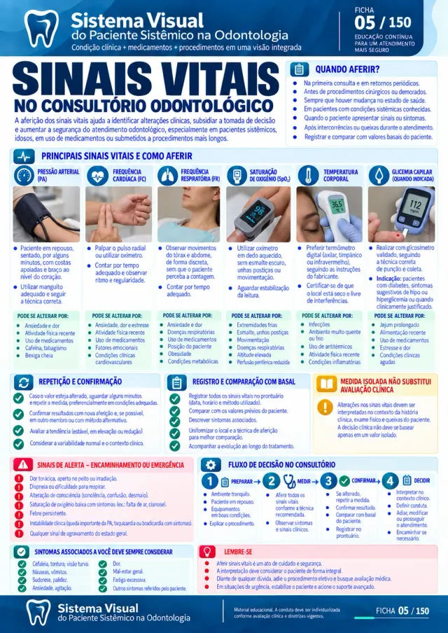 Ficha 3 do Sistema Visual