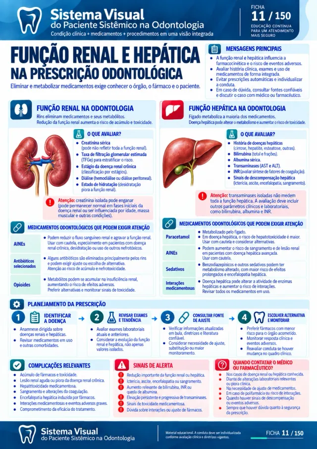 Ficha 4 do Sistema Visual