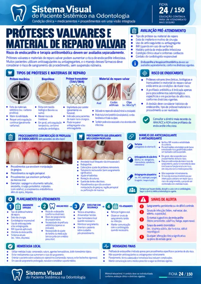 Ficha 9 do Sistema Visual